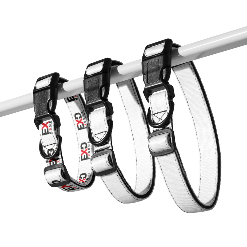 Pet Collar
