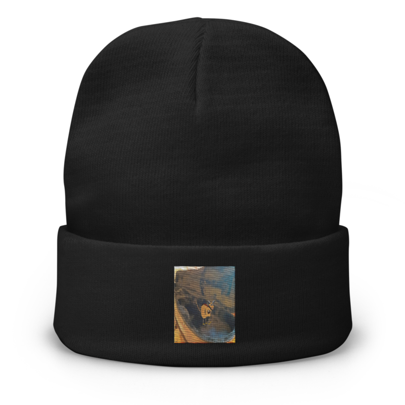 Pluckle's Home Black Unisex Embroidered Beanie