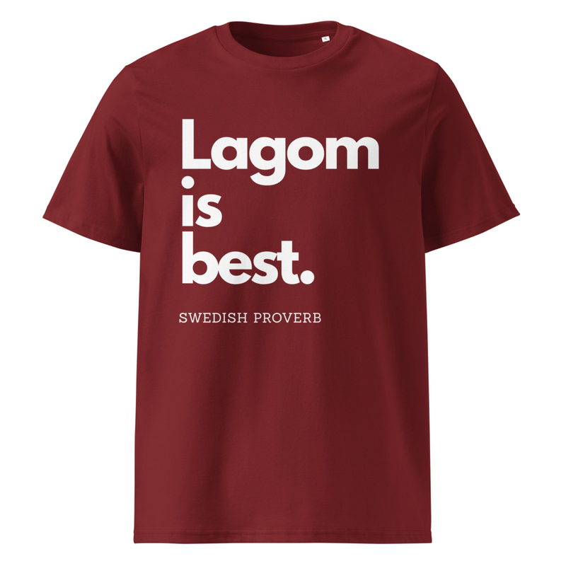 Organic cotton t-shirt - Lagom view 3