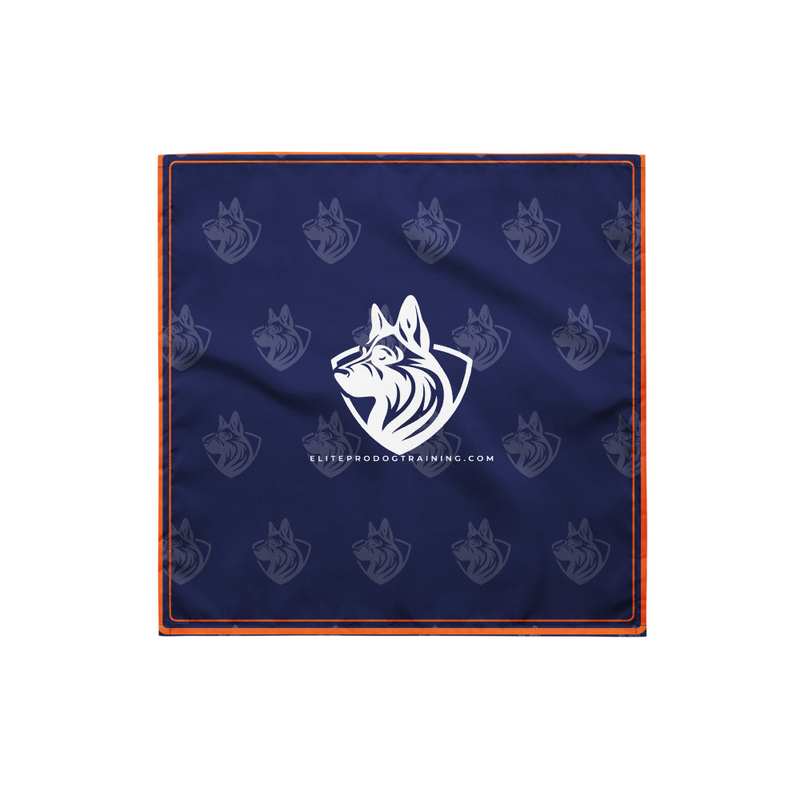 EPDT All-Over Print Bandana - My B!tch Listens