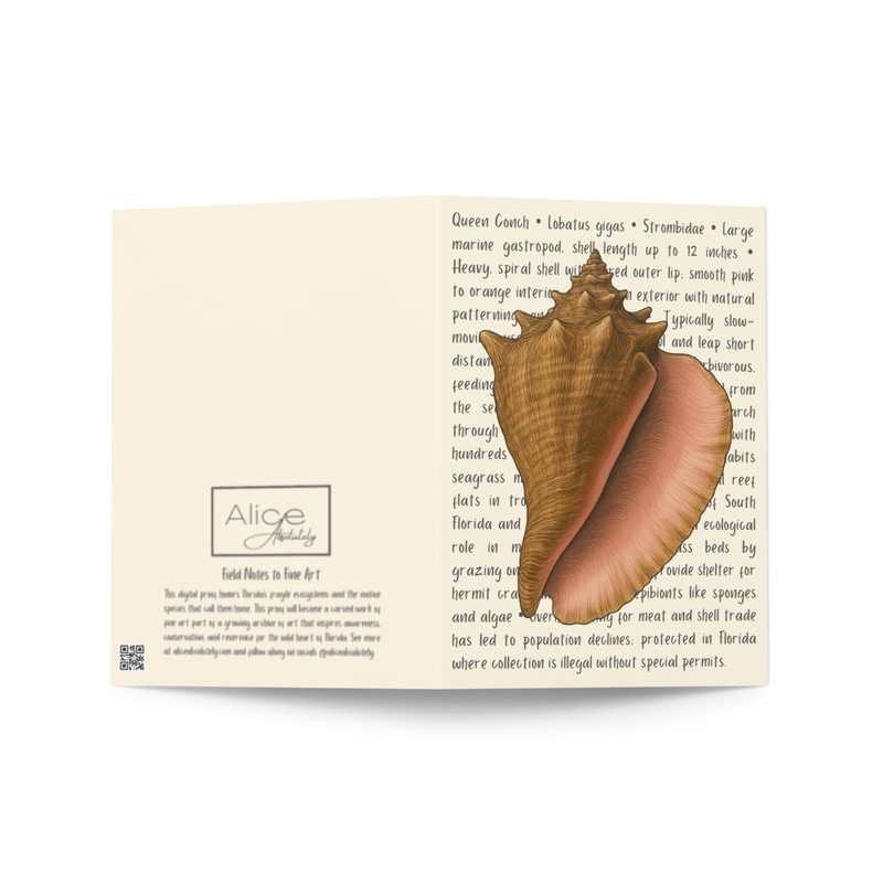 Queen Conch Greeting Card