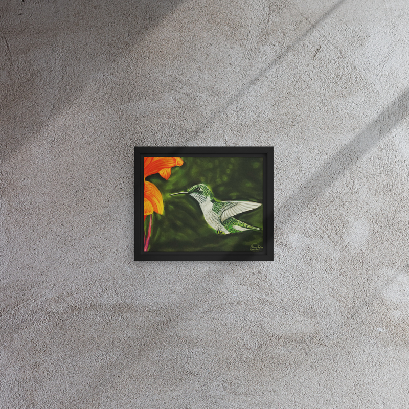 Hummingbird 1 Framed Canvas