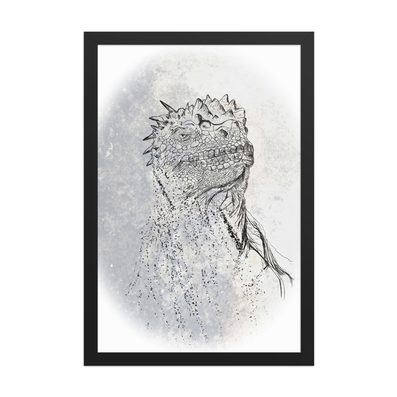 Marine Iguana (Amblyrhynchus cristatus) - 12" x 18" Framed Print