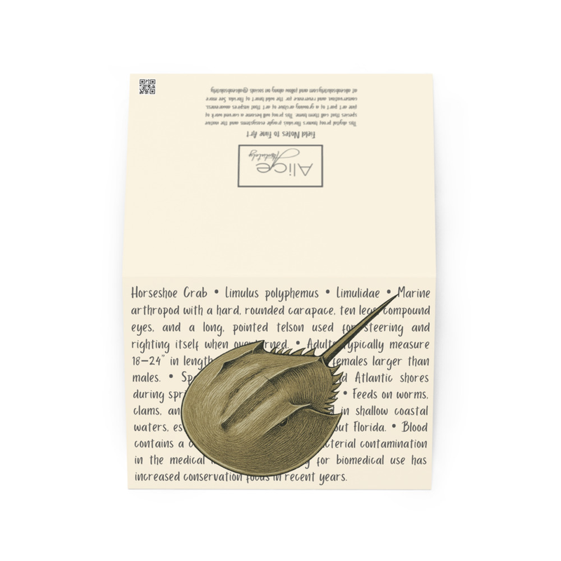 Horseshoe Crab Greeting Card