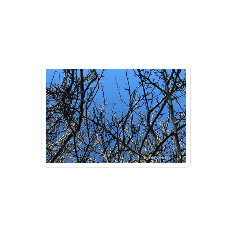 Branching Thoughts Sticker – 4″×4″, White