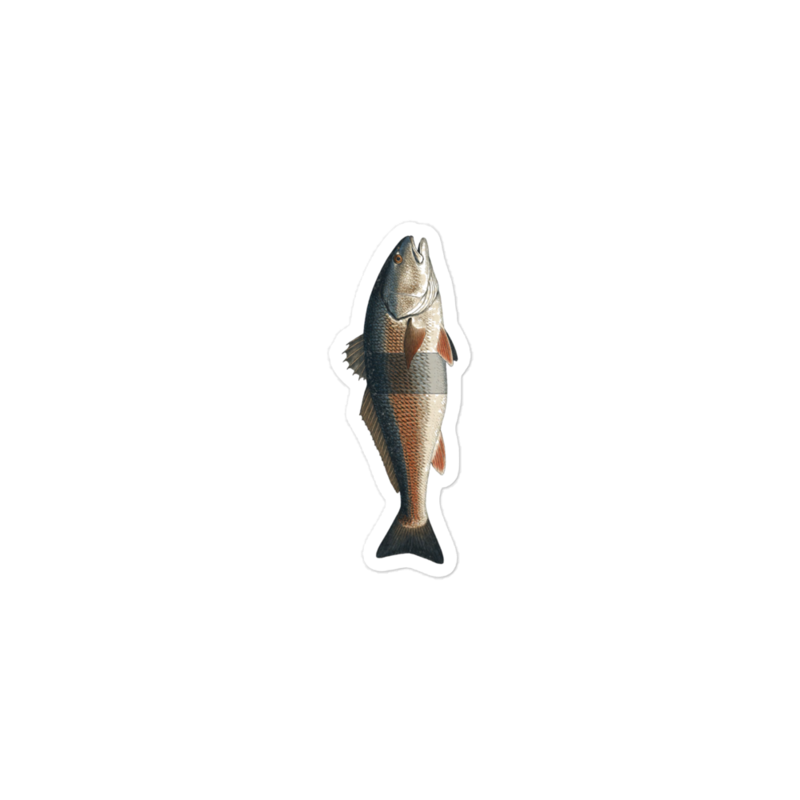 Slot Limit Sticker — Kayak Fishing merch