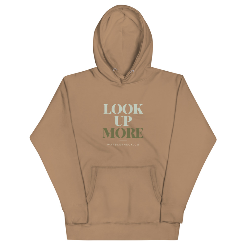 Look Up More Logo Hoodie