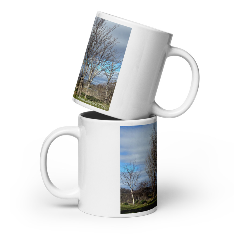 Hidden in Plain Sight Mug – 20 oz, White
