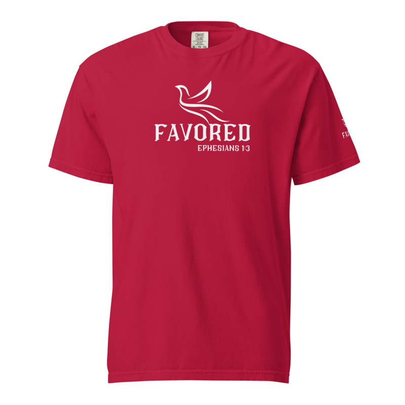 FAVORED Unisex garment-dyed heavyweight t-shirt – 2XL, Red