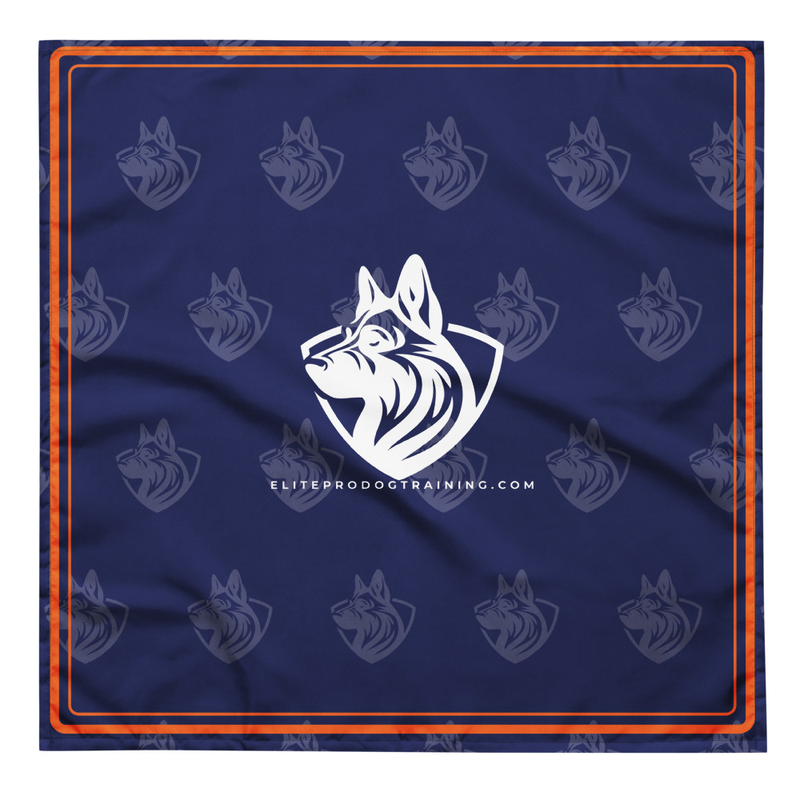 EPDT All-Over Print Bandana - My B!tch Listens
