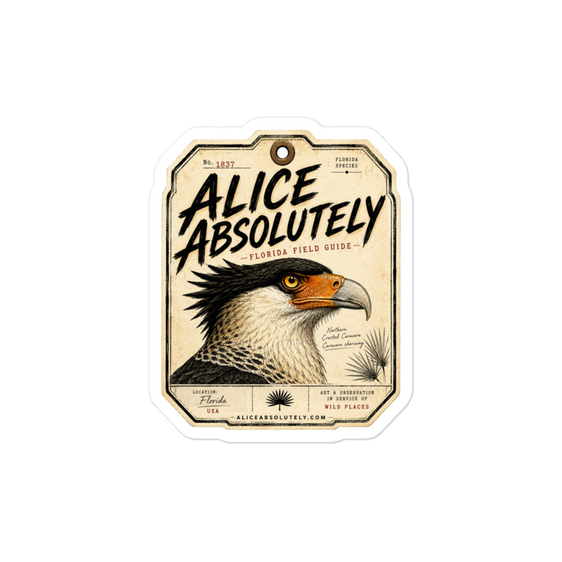 Northern Crested Caracara Vinyl Decal – 4″×6″, Satin