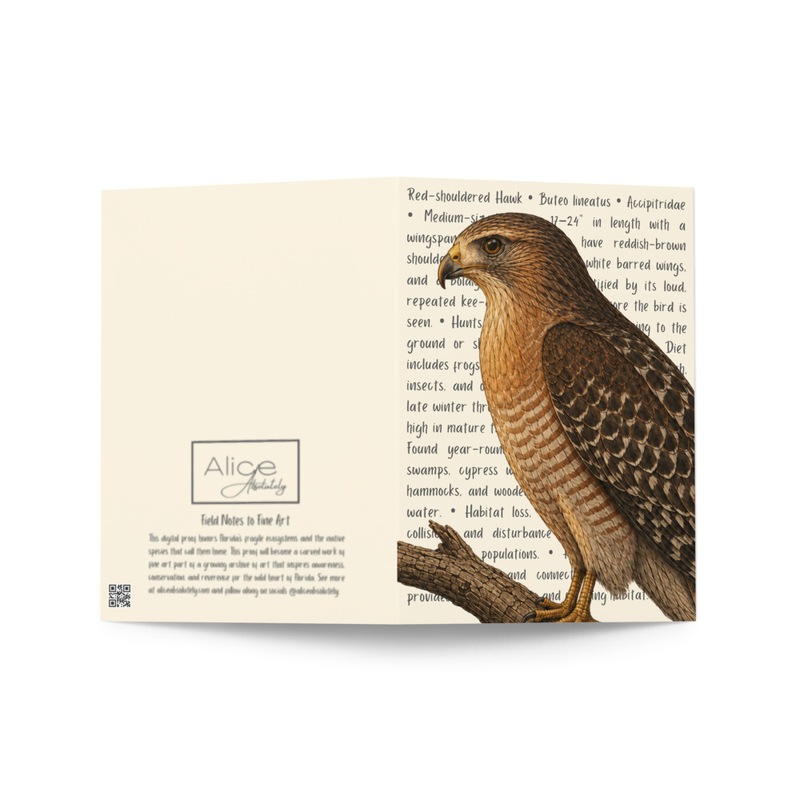 Red-shouldered Hawk Greeting Card