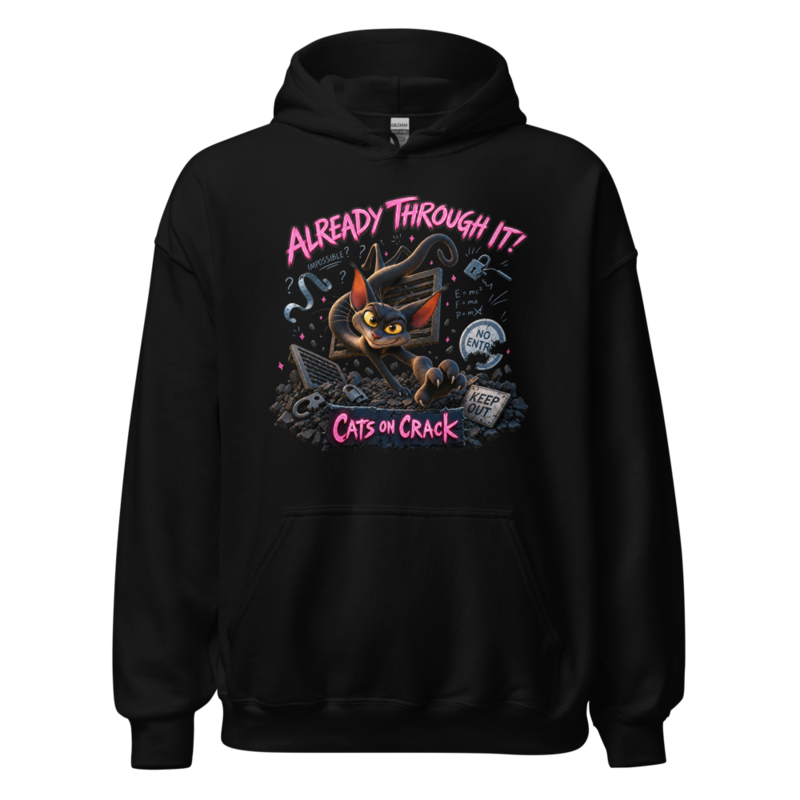 Already Through It Hoodie