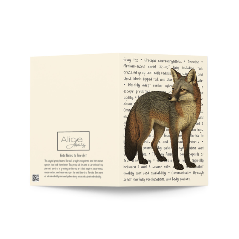 Gray Fox Greeting Card