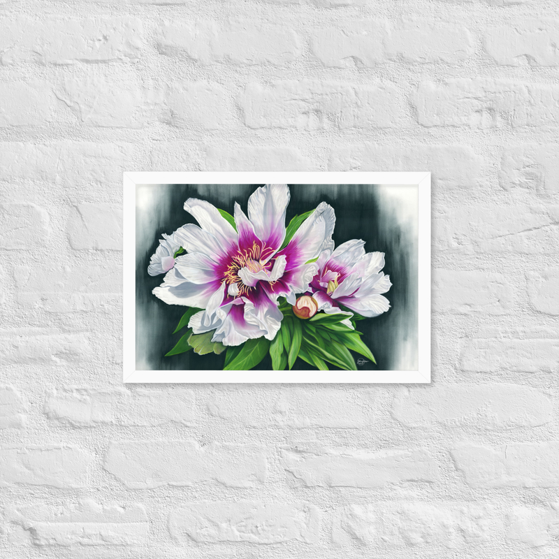 Peony Envy Framed Print