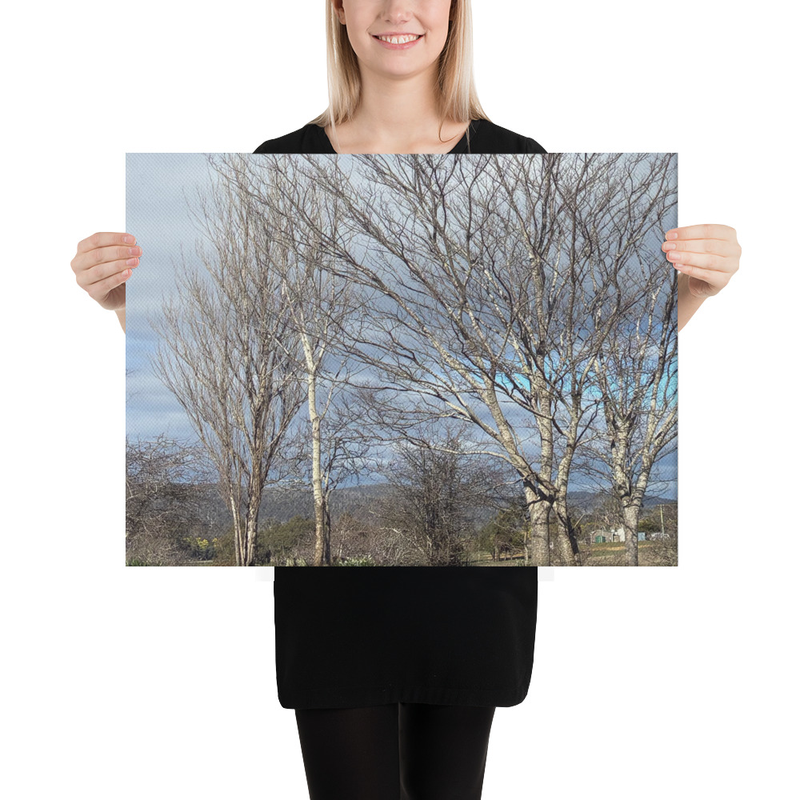 Hidden in Plain Sight Canvas Print – 18″×24″