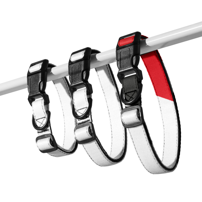 Pet Collar