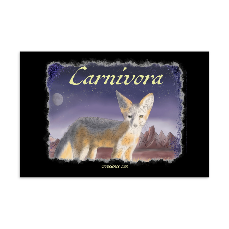 Carnivora (Kit Fox) - Standard Postcard 4"x6"