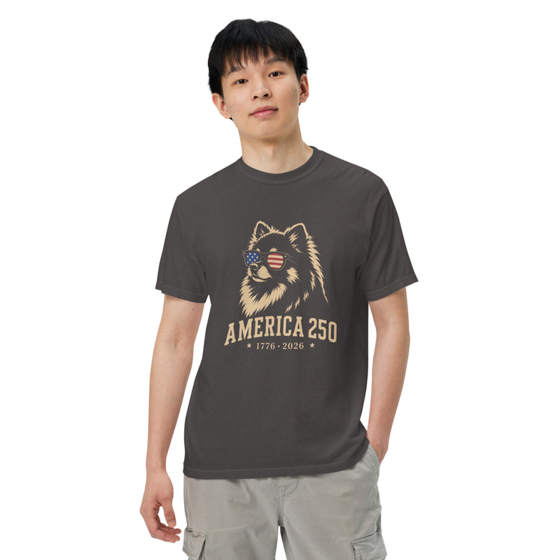 America 250 Pomeranian - 261717 – S, Graphite
