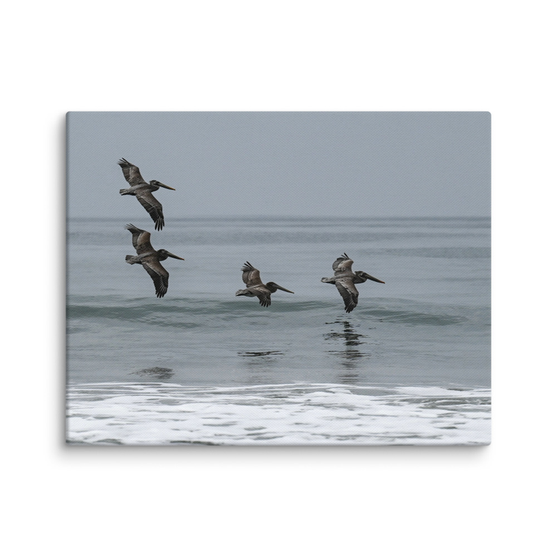 Wings Over Water Canvas