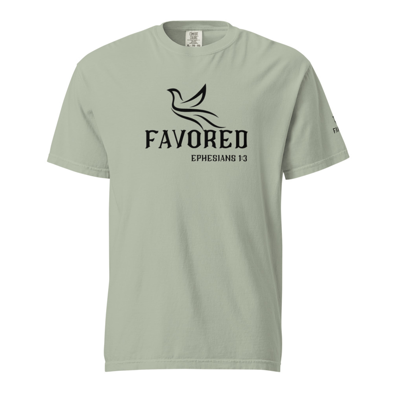 FAVORED Unisex garment-dyed heavyweight t-shirt – 2XL, Bay