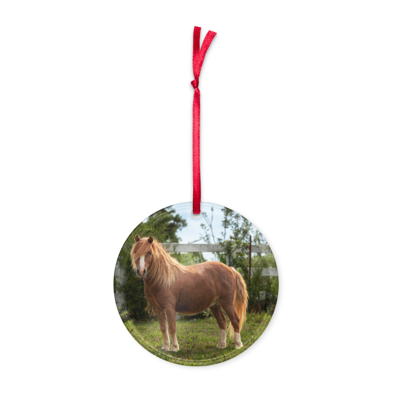 Holiday Ornament - Mini Pony
