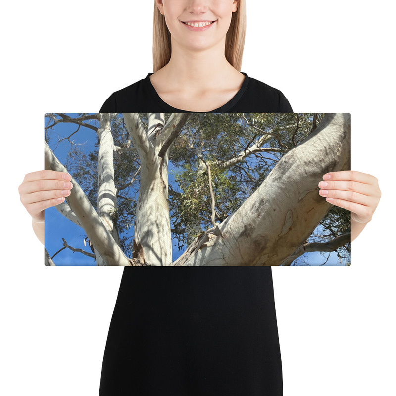 Choose Your Path Canvas Print – 10″×20″
