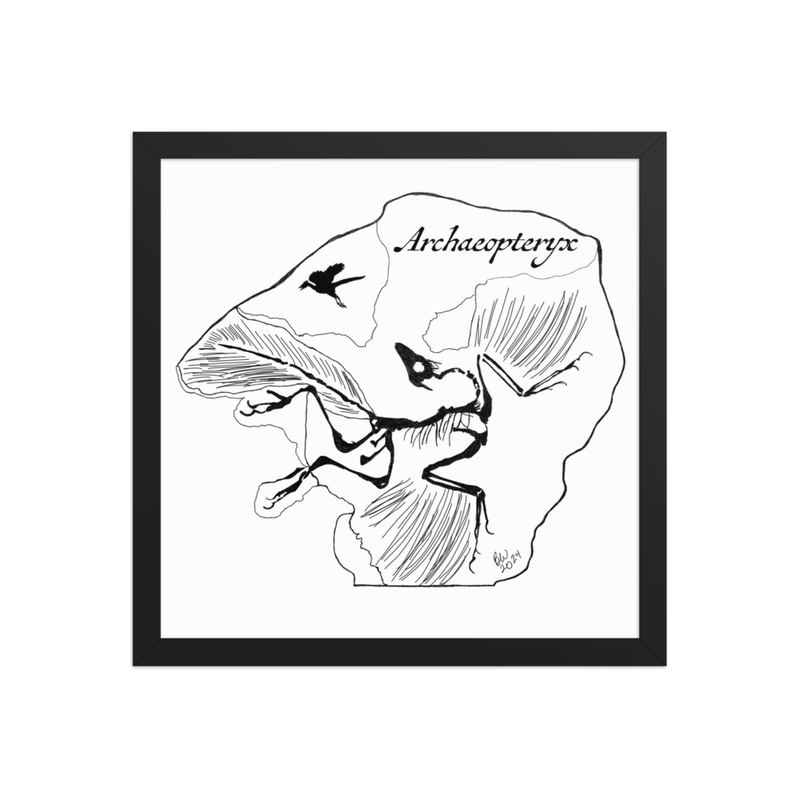Archaeopteryx - 14" x 14" Framed Print