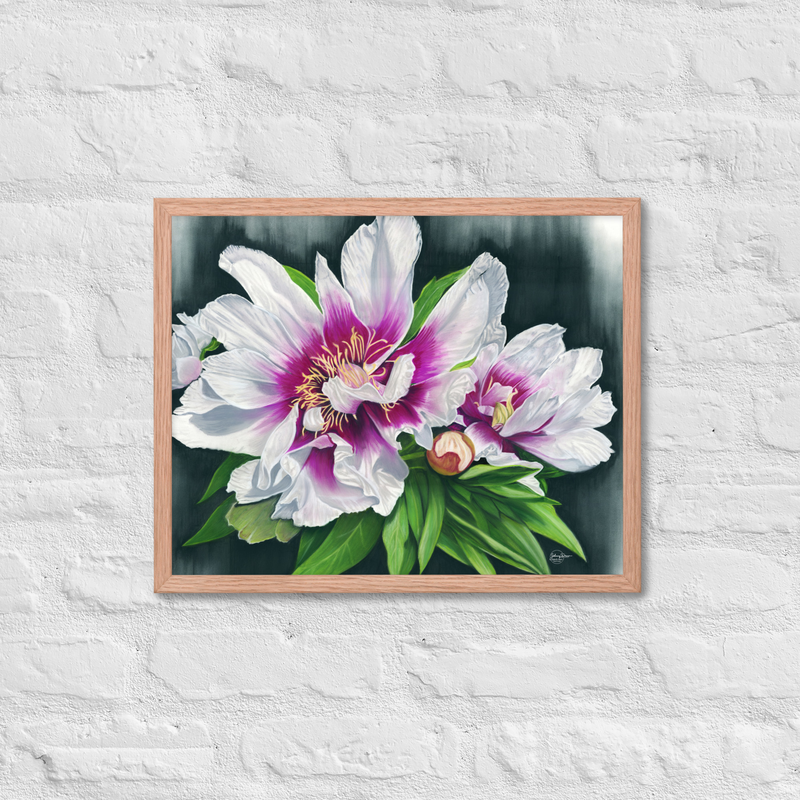 Peony Envy Framed Print – Image 7