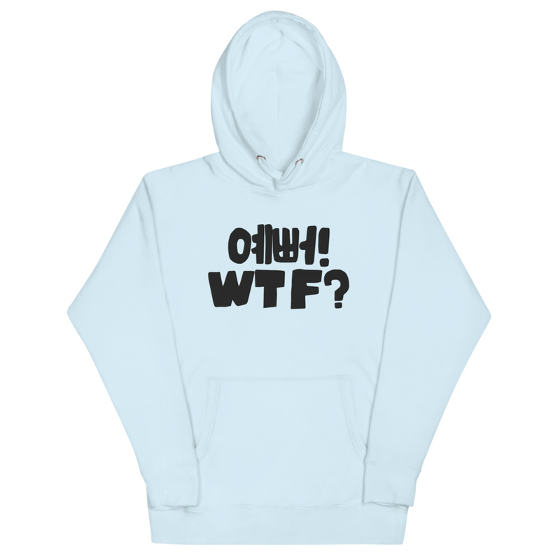 unisex-premium-pullover-hoodie-sky-blue-front-69fd6da811b48.jpg