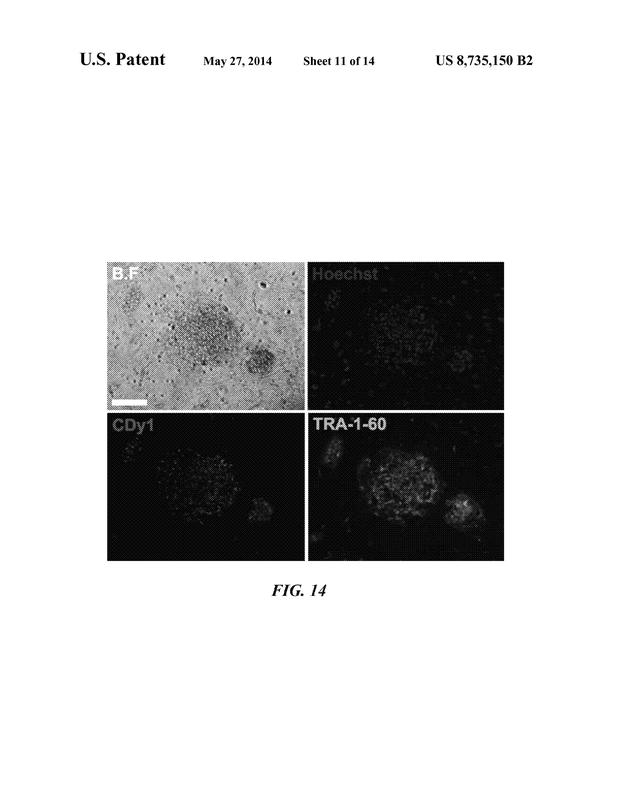 Patent US8735150 - Precision in Every Fold - default