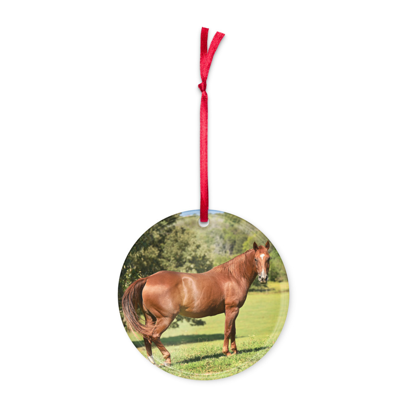 Holiday Ornament - Horse in Field