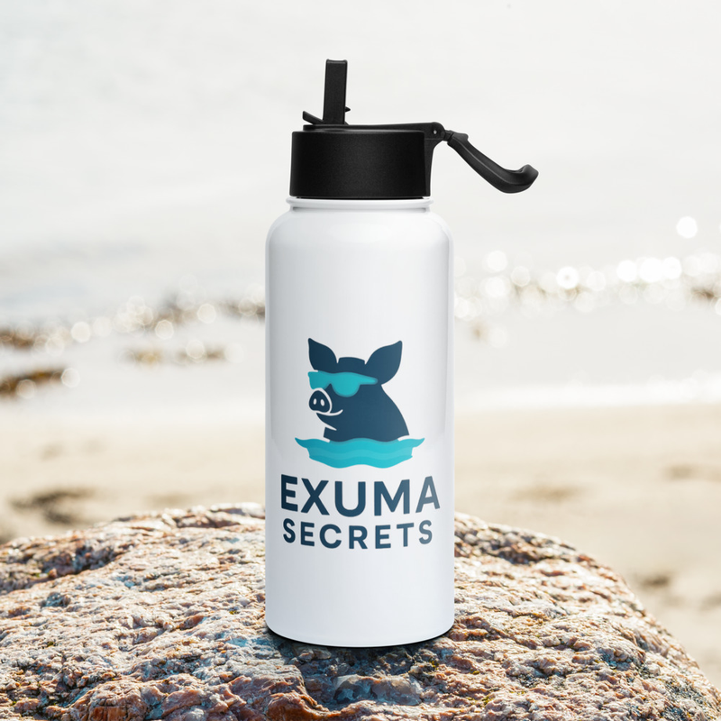 Piggy in Paradise Stainless steel water bottle with a straw lid
