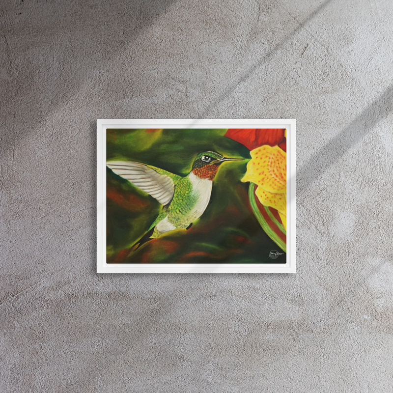 Hummingbird 2 Framed Canvas