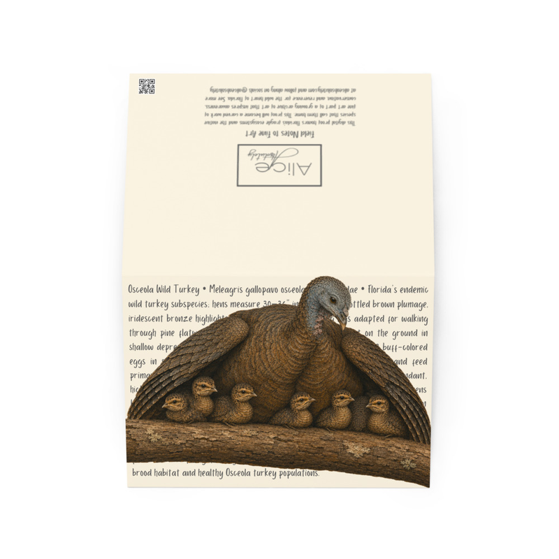 Osceola Turkey Greeting Card