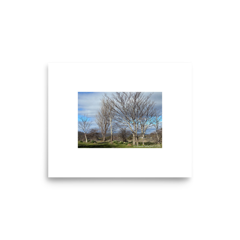 Hidden in Plain Sight Poster – 8″×10″