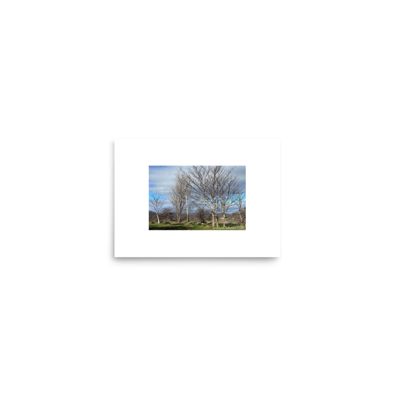 Hidden in Plain Sight Poster