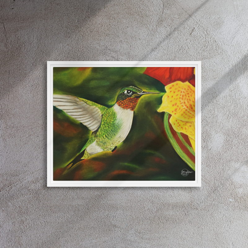 Hummingbird 2 Framed Canvas – 16″×20″, White