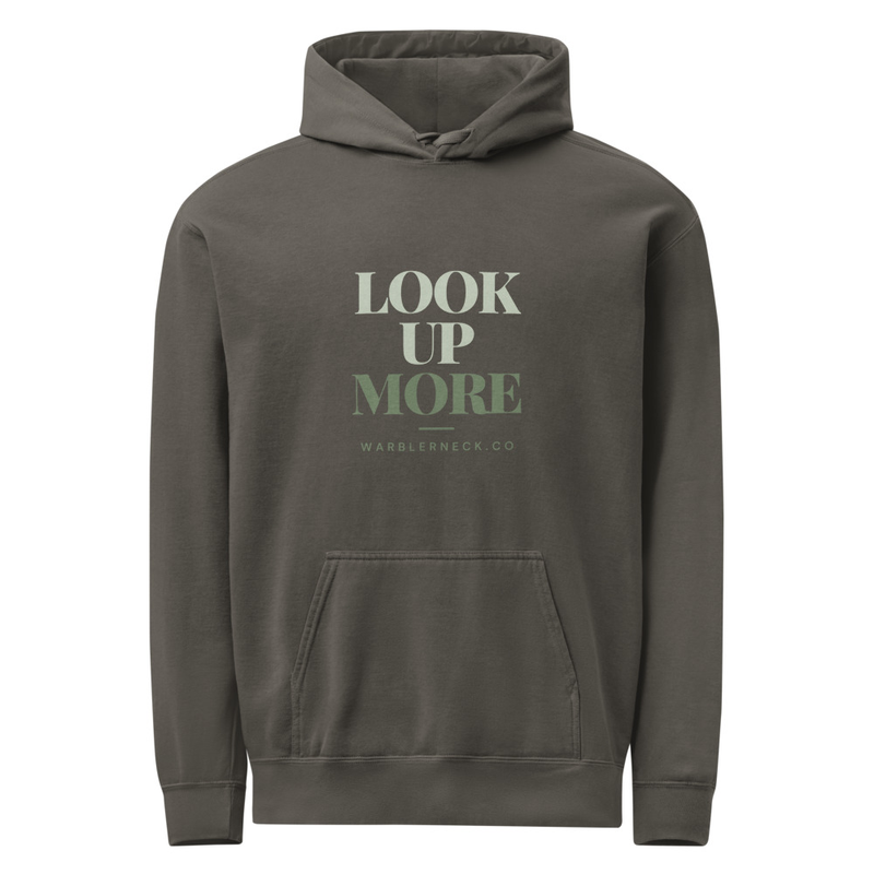 Women's Look Up More Site Hoodie