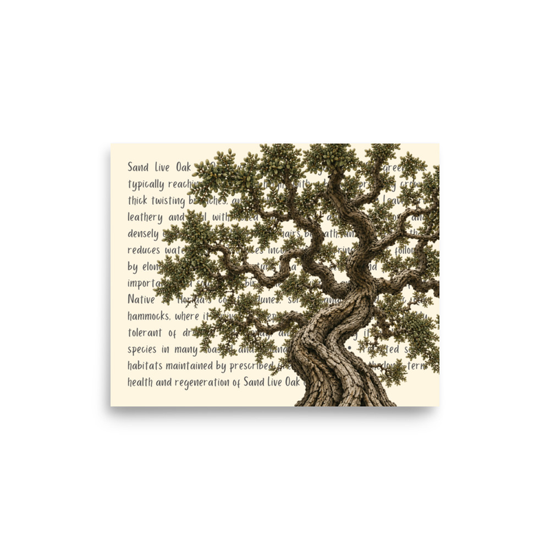 Sand Live Oak Open Edition Proof