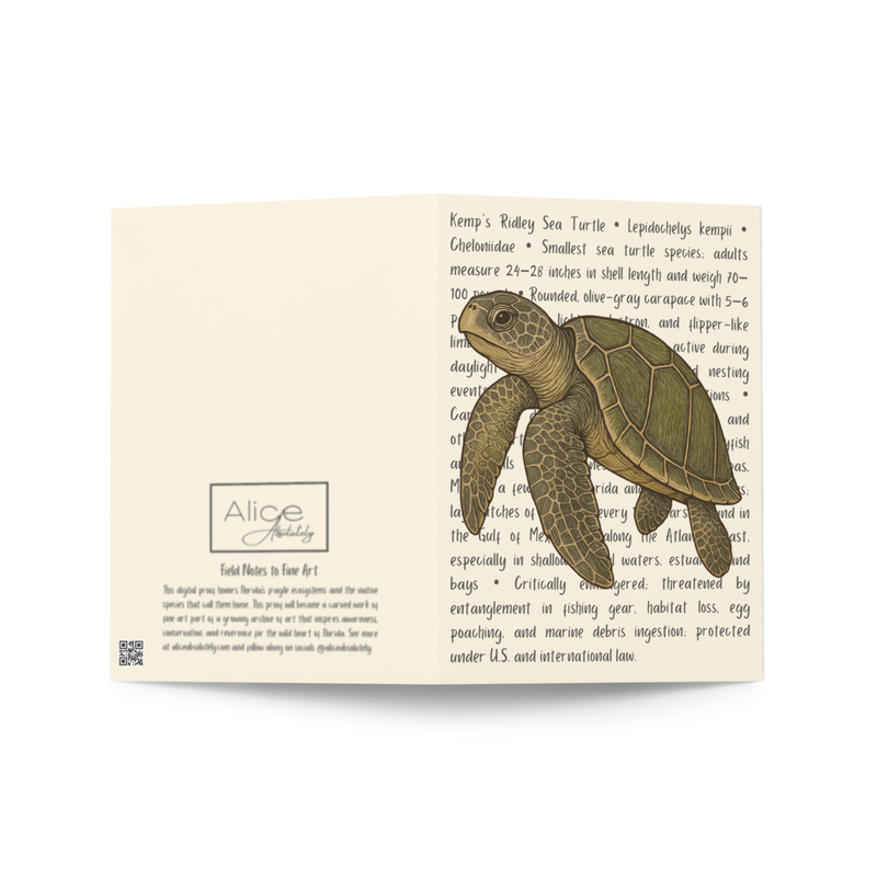 Kemp's Ridley Sea Turtle Greeting Card