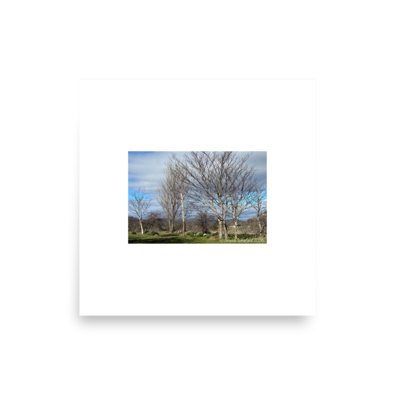Hidden in Plain Sight Poster – 16″×16″
