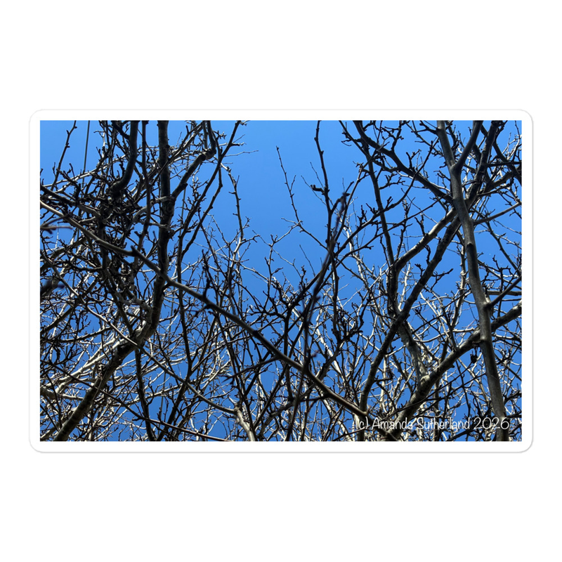 Branching Thoughts Sticker – 5.5″×5.5″, White