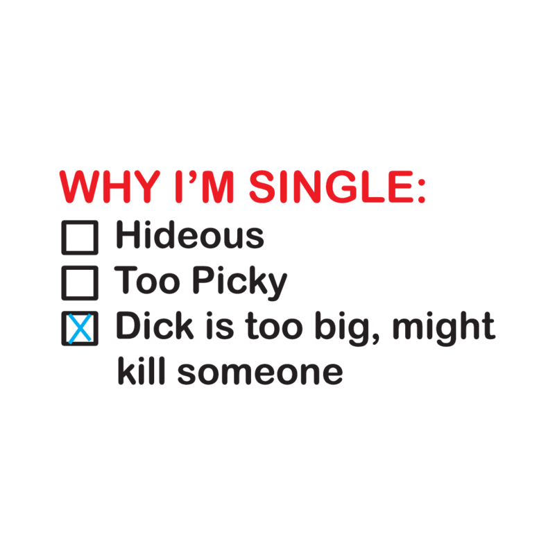 Women's short sleeve t-shirt - Why am I single? Dicks to Big.