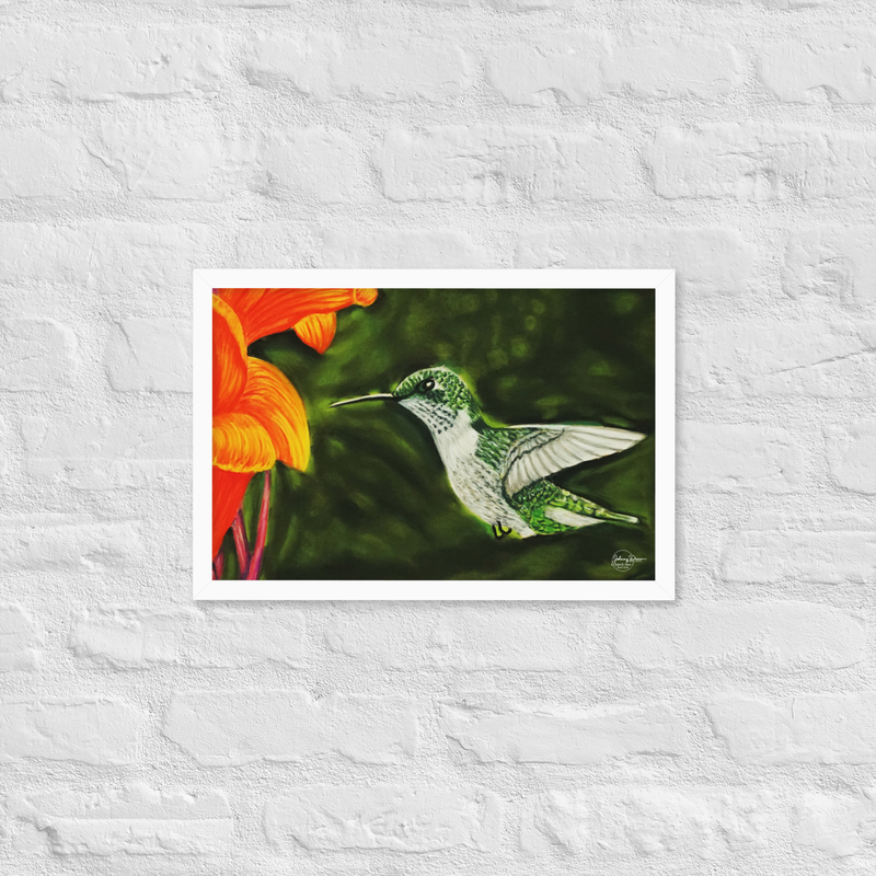 Hummingbird 1 Framed Print