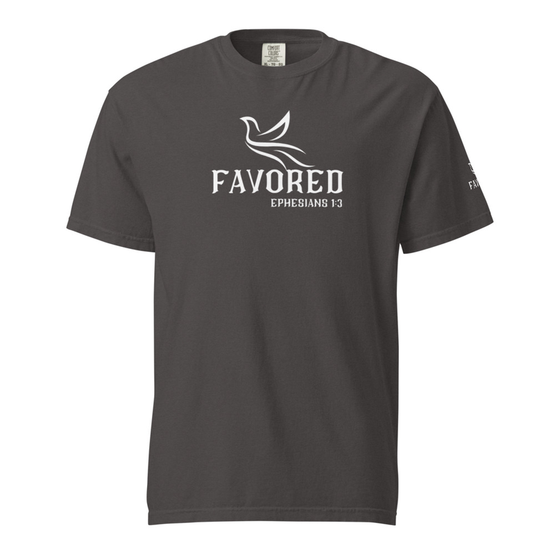 FAVORED Unisex garment-dyed heavyweight t-shirt – 4XL, Graphite
