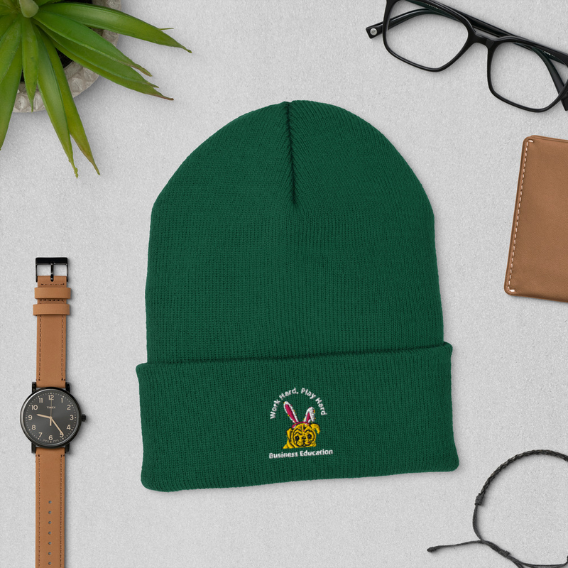 Business Education - Cuffed Beanie – One size, Spruce