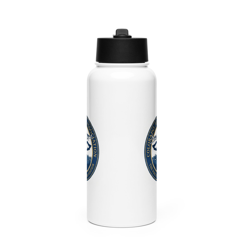Stainless steel water bottle with a straw lid