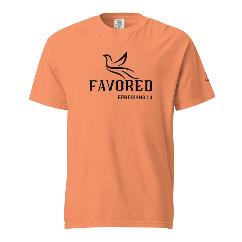 FAVORED Unisex garment-dyed heavyweight t-shirt – M, Terracotta