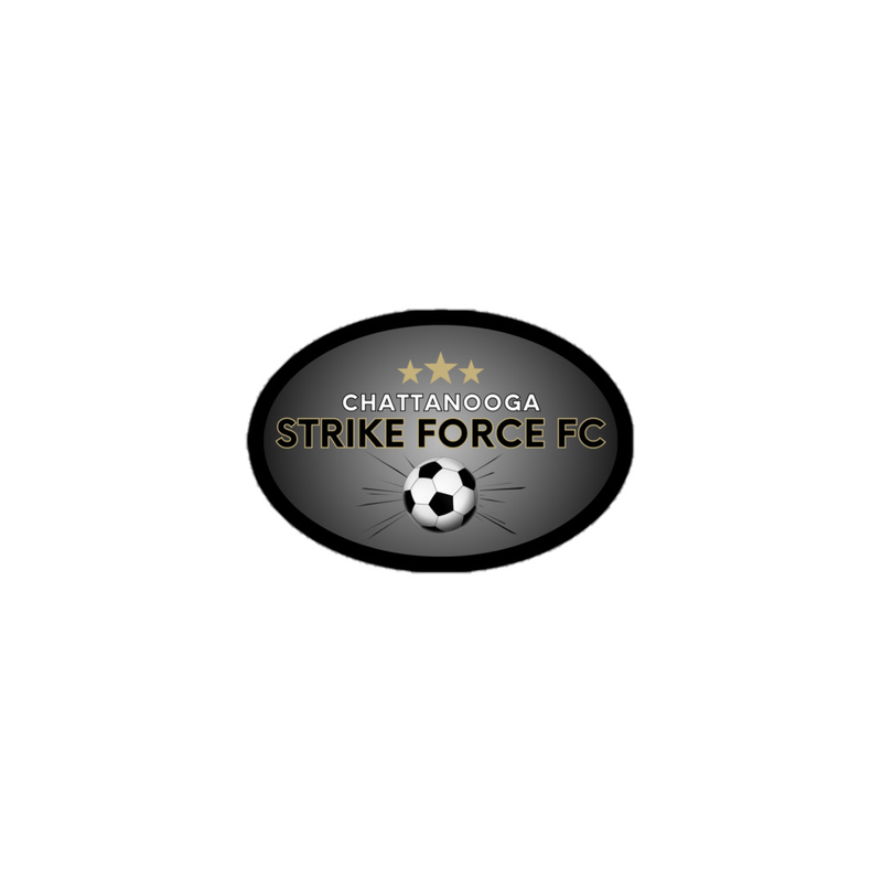  Oval Strike Force Sticker 